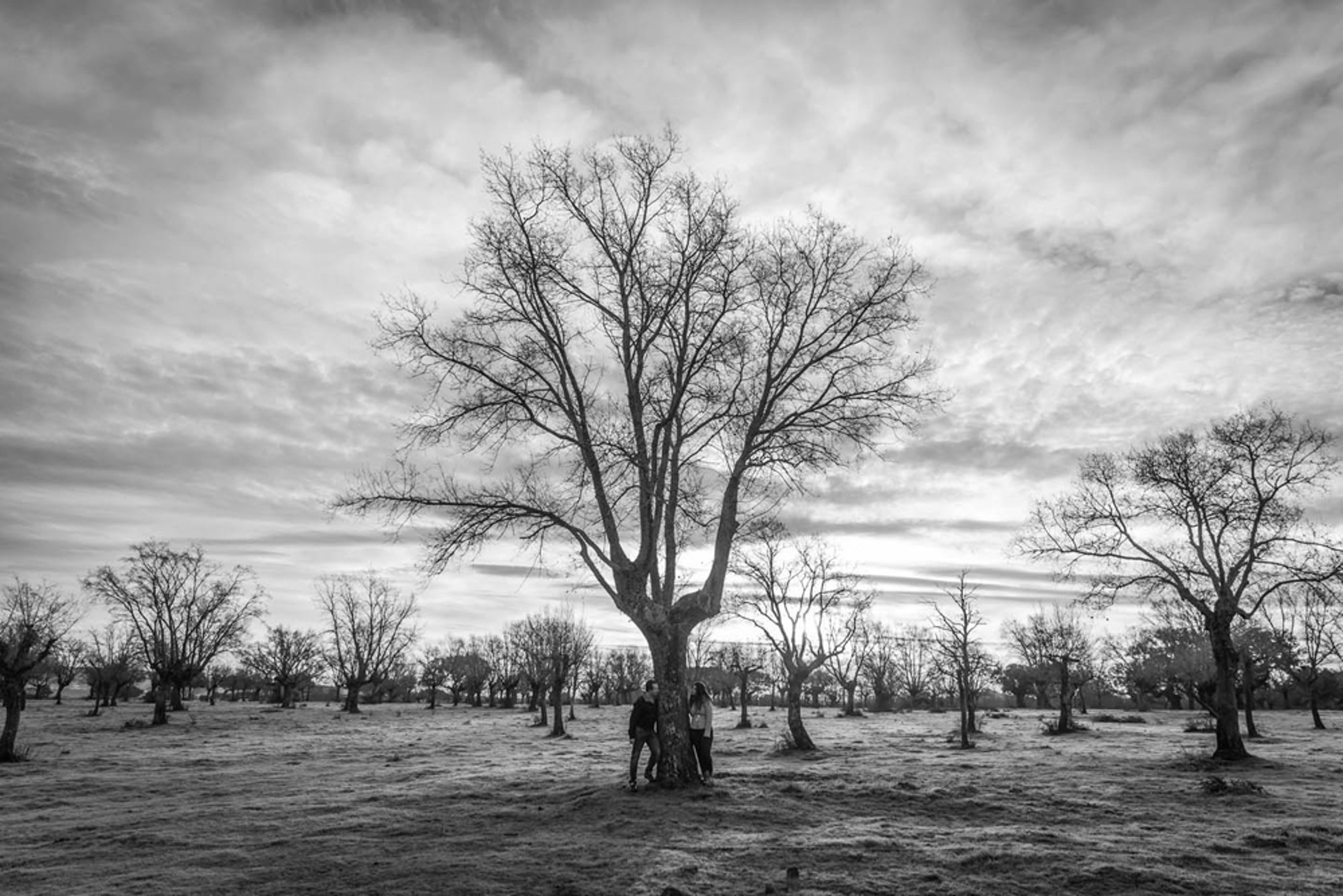_MG_5885-2