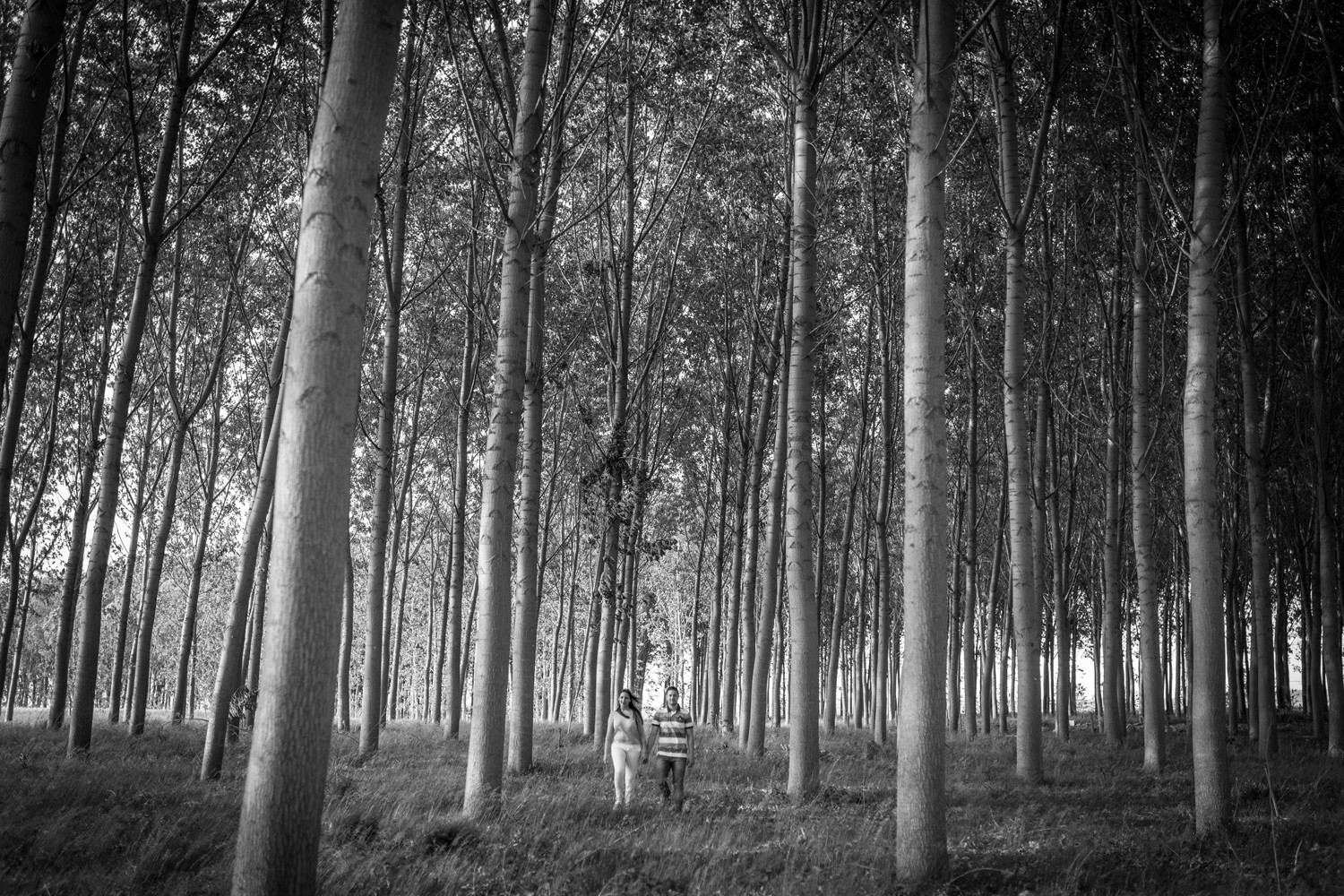_MG_9808-2