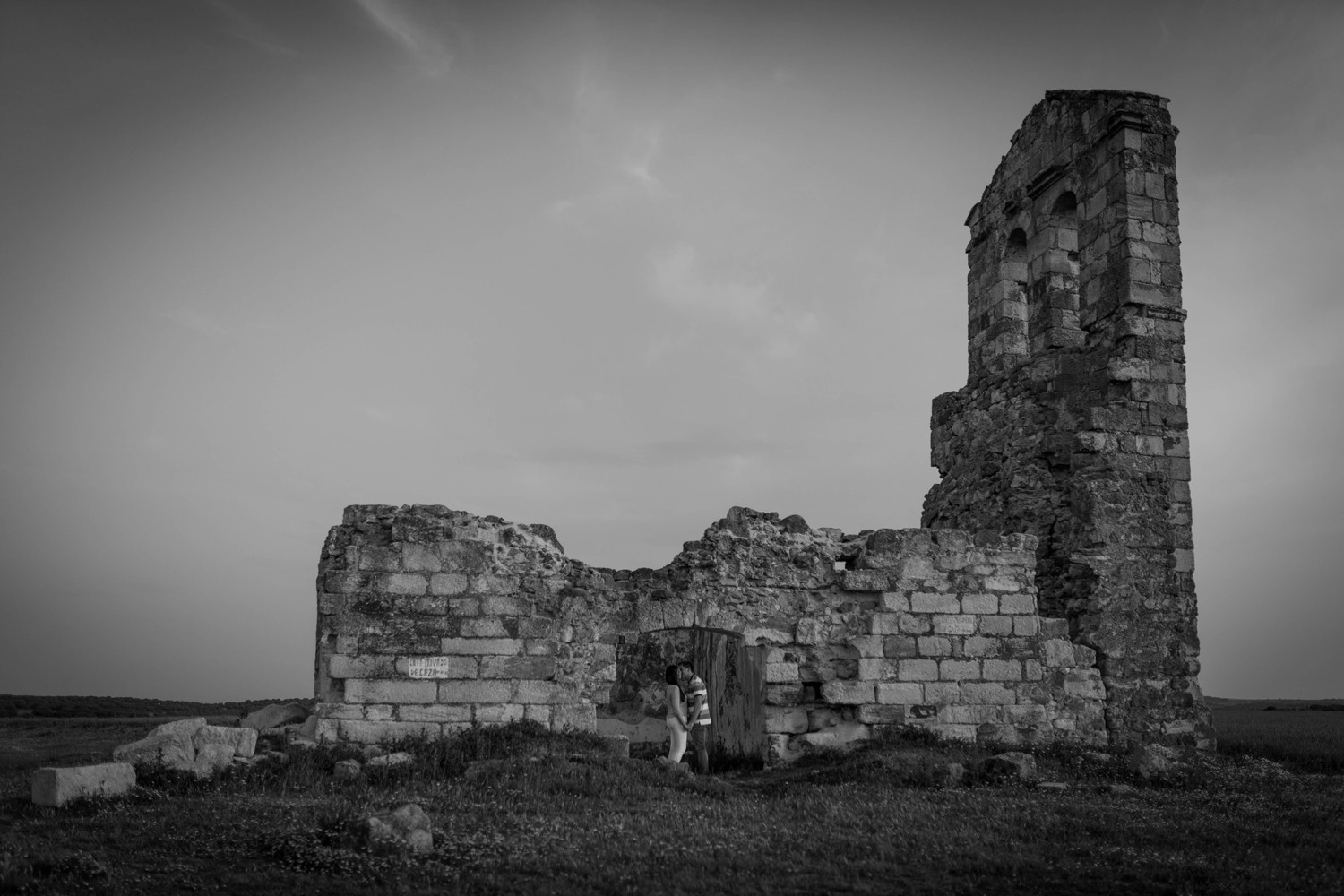 _MG_9941-2